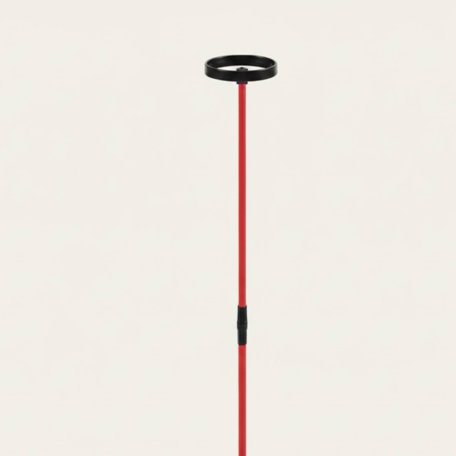 Attrezzo per Allenamento Golf  - Training Aid Swing recensione e prezzo